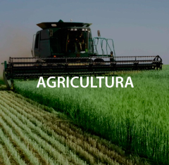 Agricola