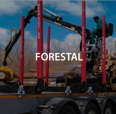 Forestal